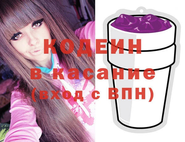 хмурый Корсаков