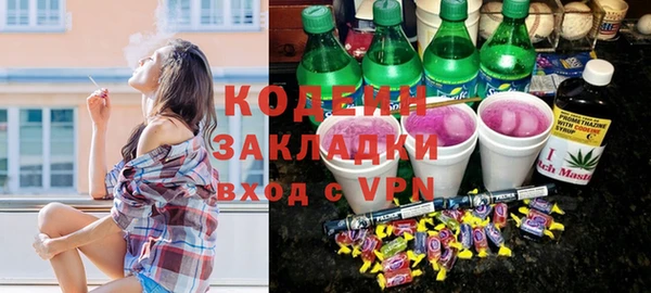 хмурый Корсаков