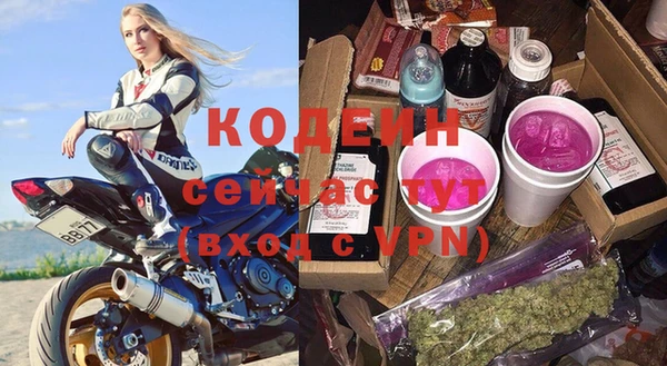 хмурый Корсаков