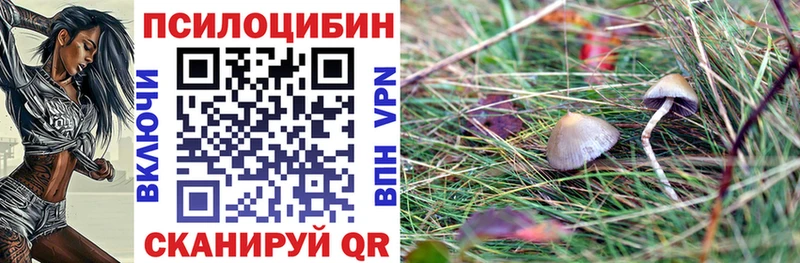 дарнет шоп  Елабуга  площадка Telegram  Псилоцибиновые грибы Magic Shrooms 
