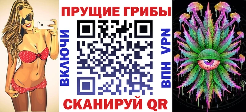 Псилоцибиновые грибы Cubensis Елабуга