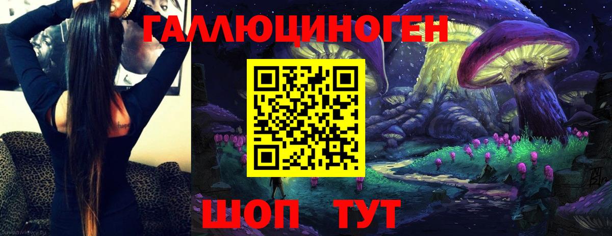Елабуга  Галлюциногенные грибы Psilocybine cubensis  Вход с VPN 