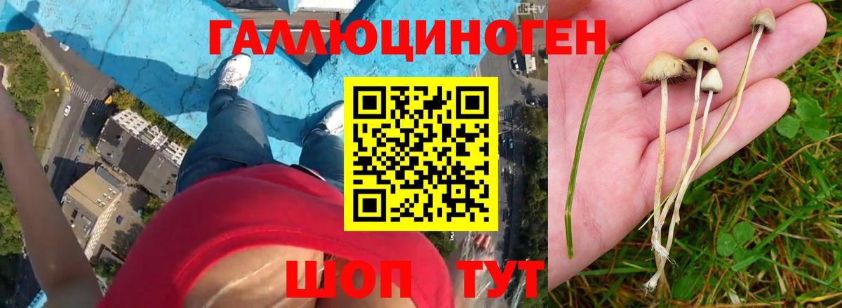 Галлюциногенные грибы Magic Shrooms  Елабуга  Галлюциногенные грибы ЛСД 